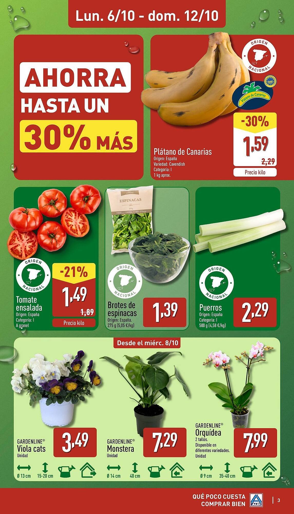 Folleto ALDI (2025-10-06 - 2025-10-12)