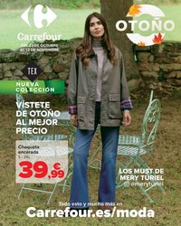 Folleto Carrefour
