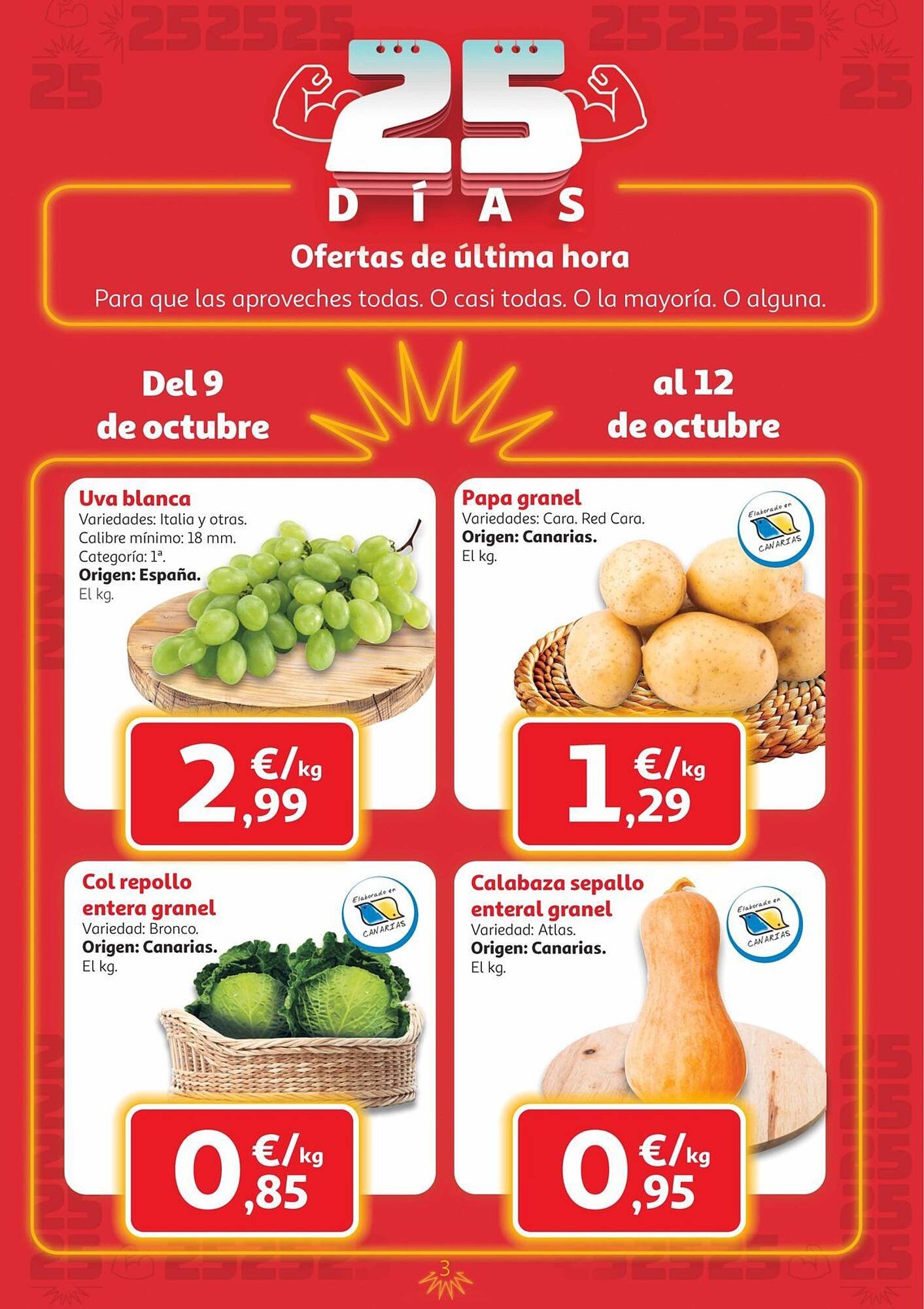 Folleto Alcampo (2025-10-09 - 2025-10-22)