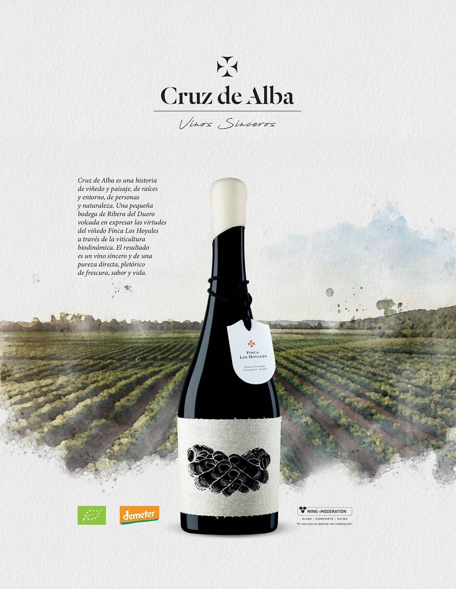 Catálogo El Corte Inglés (2025-11-19 - 2026-01-31)