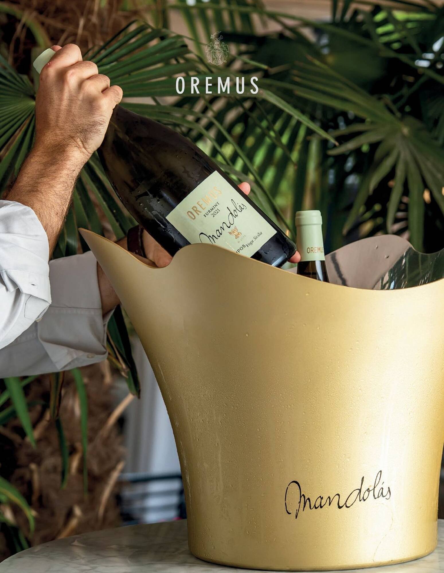 Catálogo El Corte Inglés (2025-11-19 - 2026-01-31)