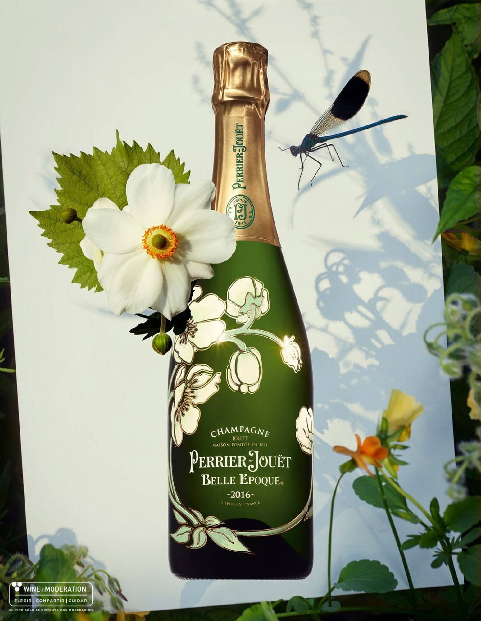 Catálogo El Corte Inglés (2025-11-19 - 2026-01-31)