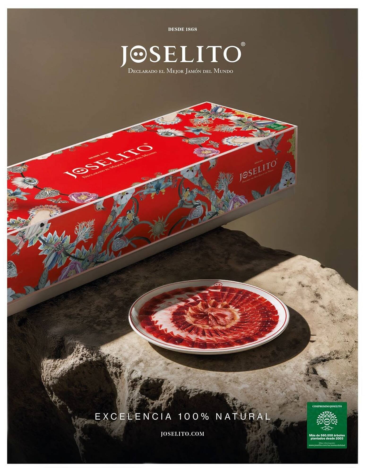 Catálogo El Corte Inglés (2025-11-19 - 2026-01-31)