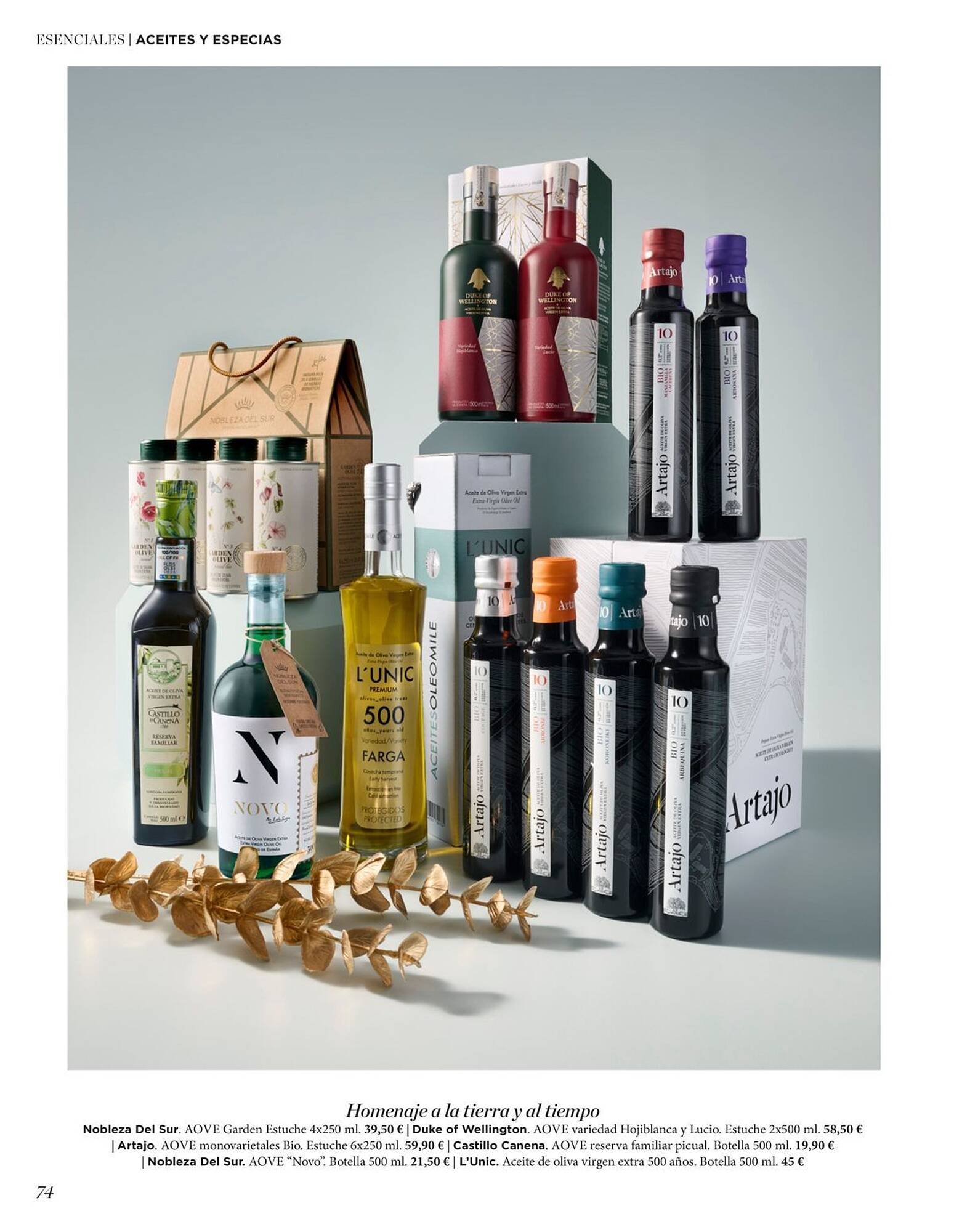 Catálogo El Corte Inglés (2025-11-19 - 2026-01-31)