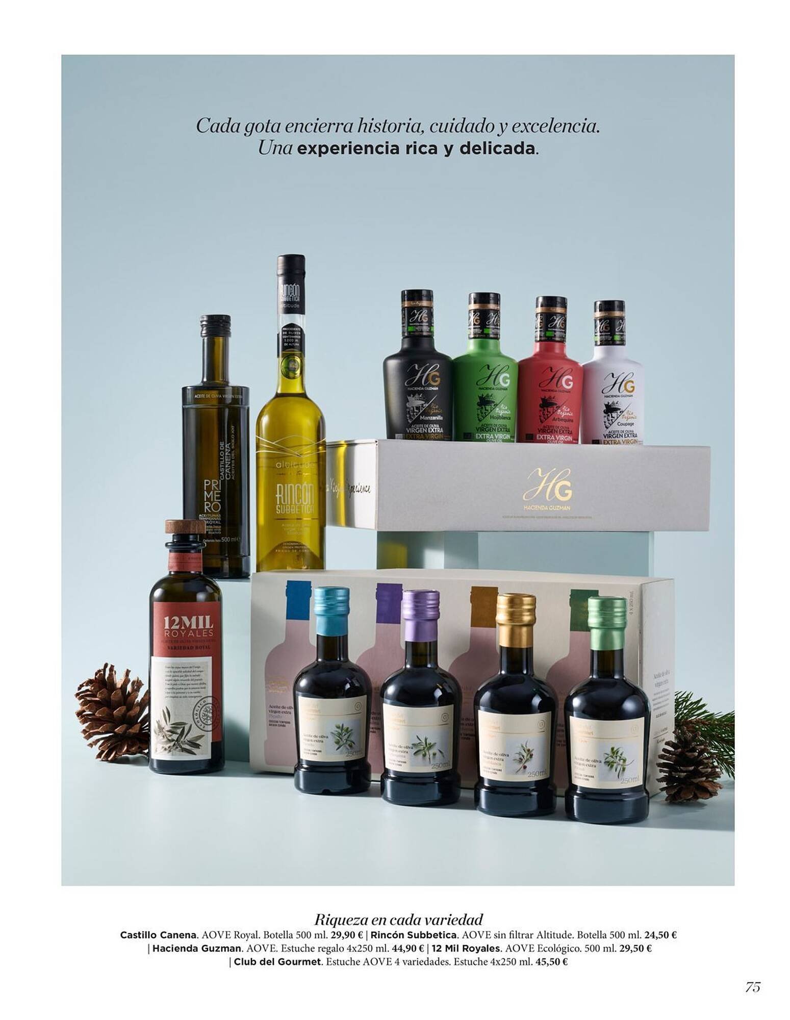 Catálogo El Corte Inglés (2025-11-19 - 2026-01-31)