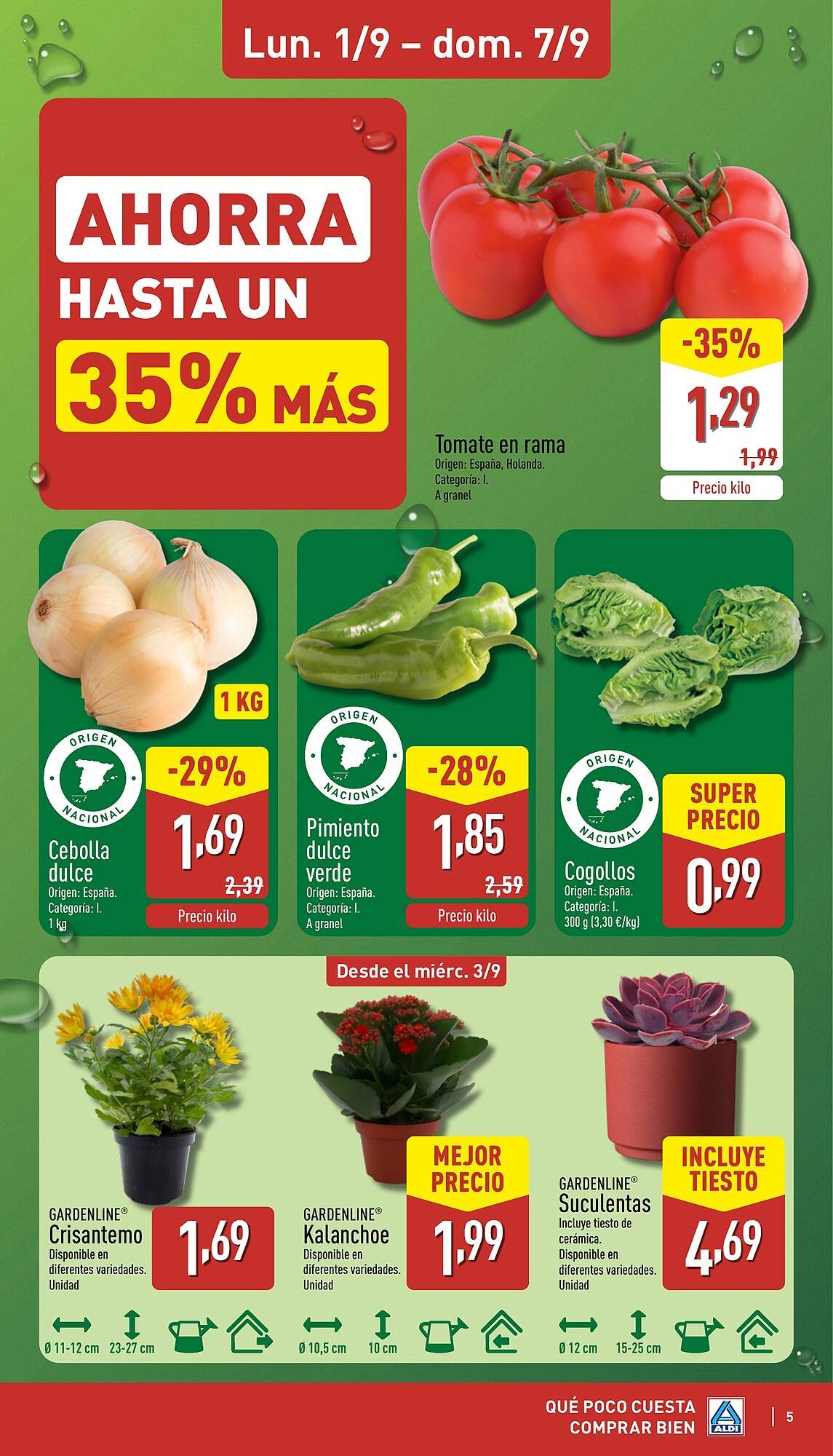 Folleto ALDI (2025-09-01 - 2025-09-07)