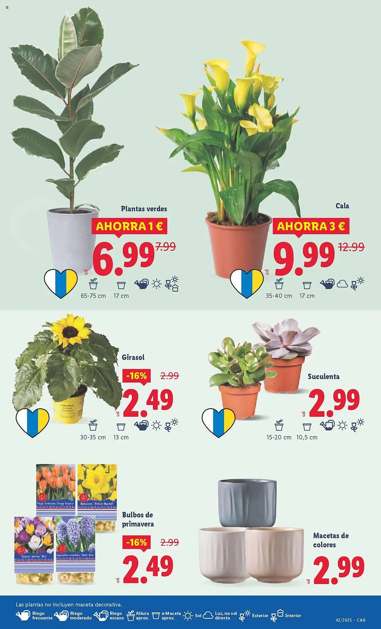 Catálogo Lidl (2025-10-13 - 2025-10-19)