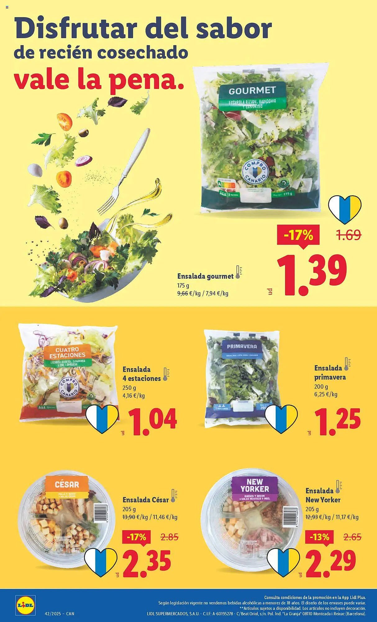 Catálogo Lidl (2025-10-13 - 2025-10-19)