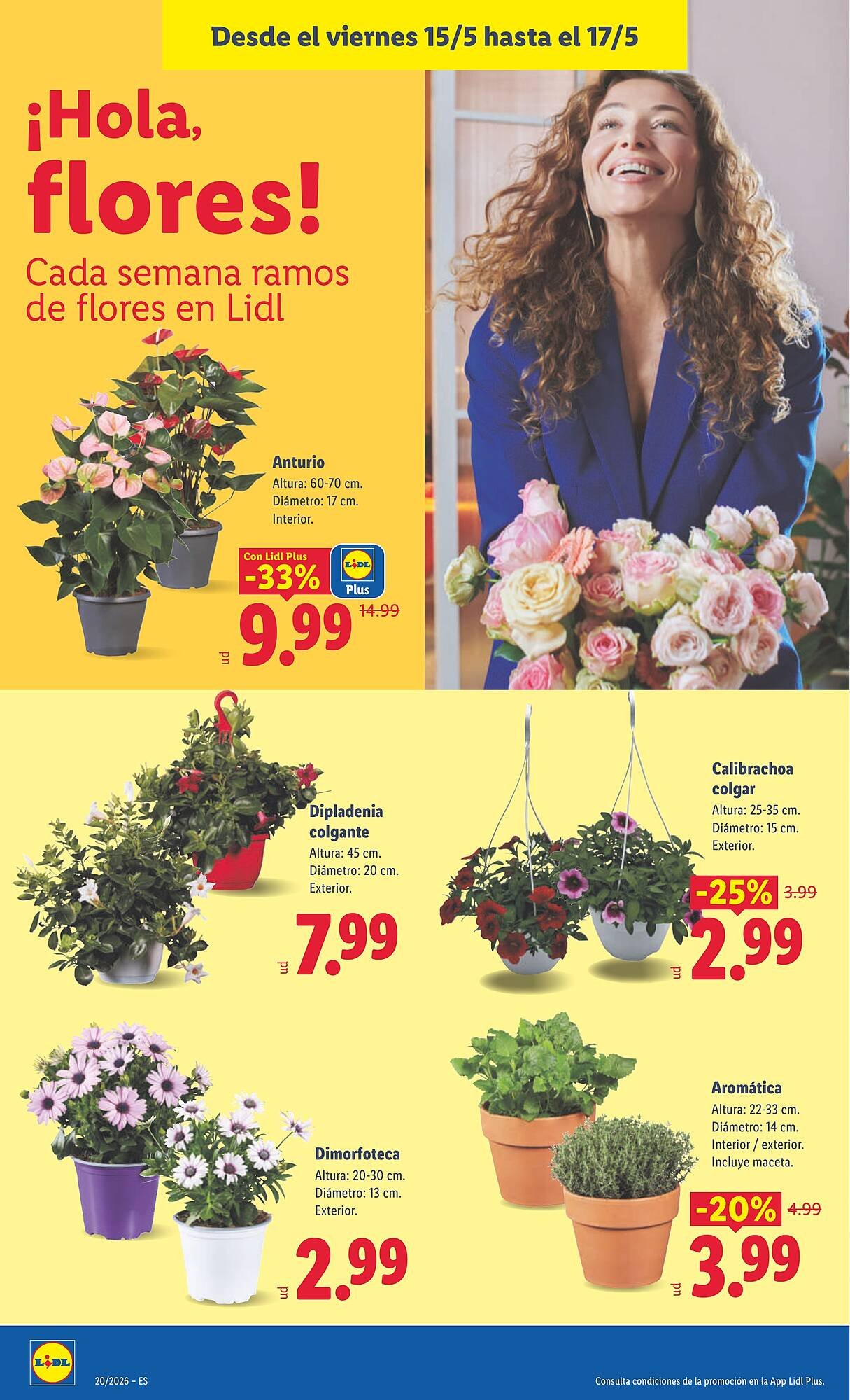 Catálogo Lidl