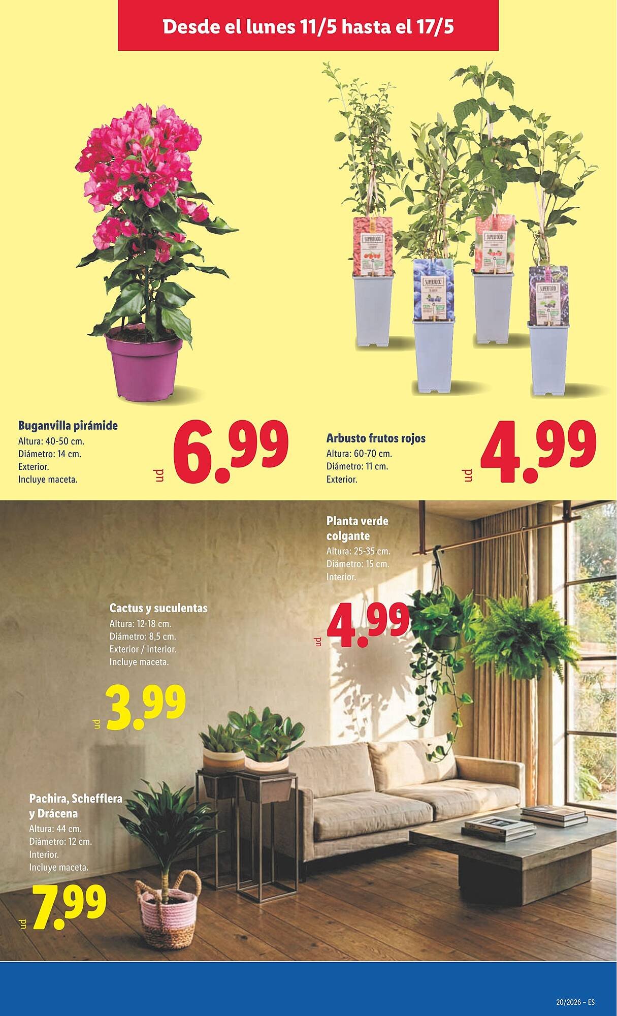 Catálogo Lidl
