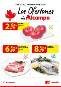 Folleto Alcampo