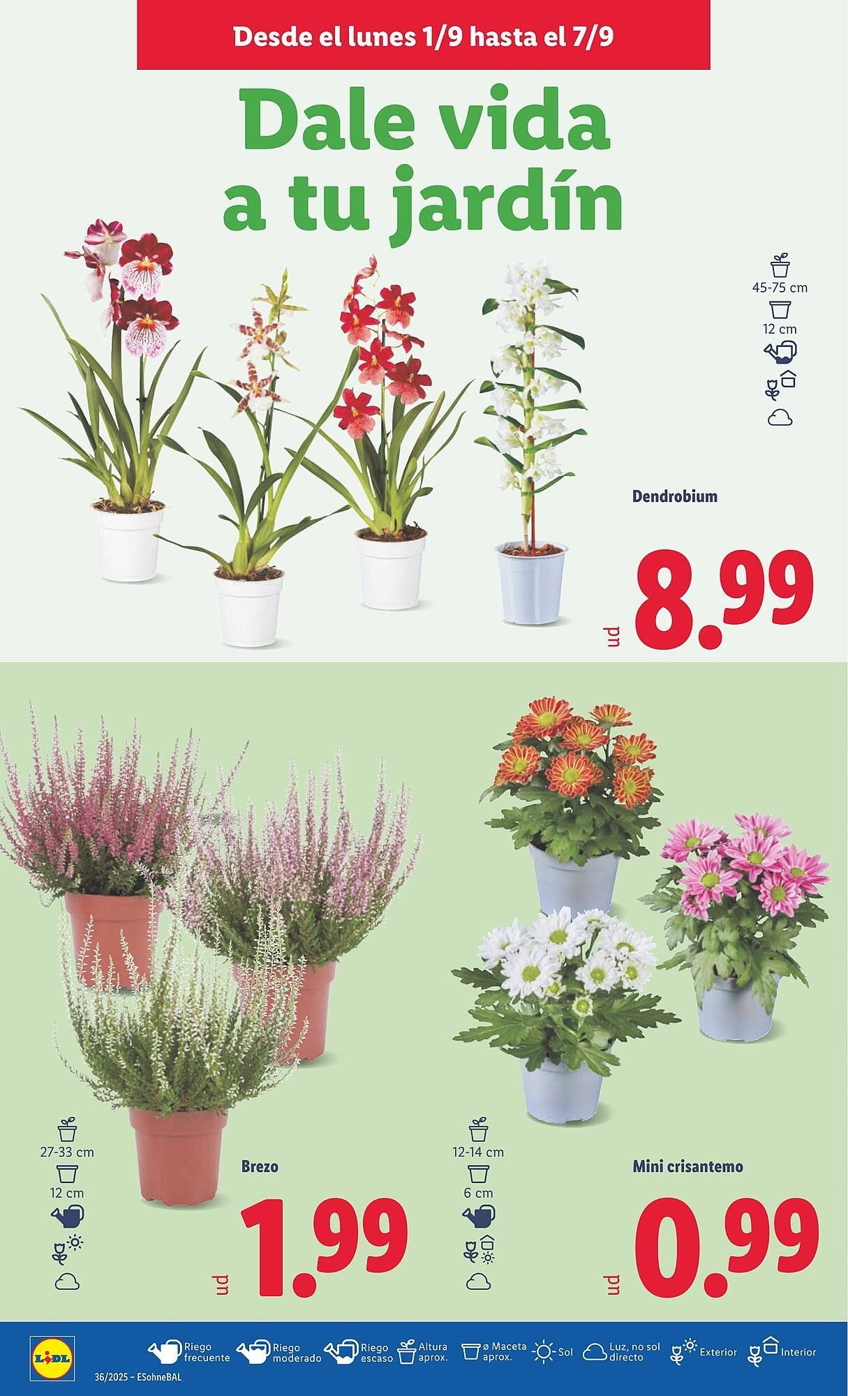 Folleto Lidl (2025-09-01 - 2025-09-07)