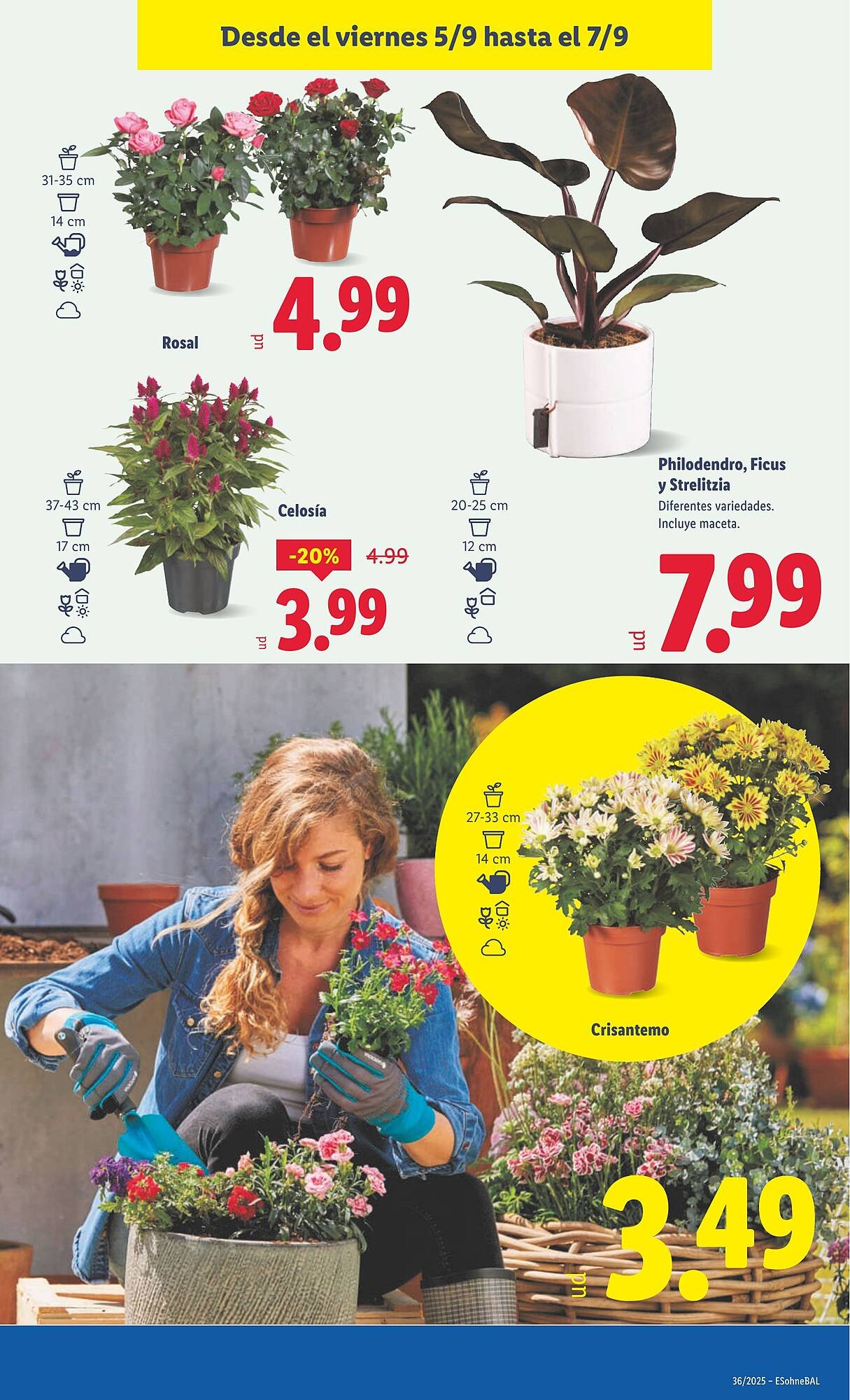 Folleto Lidl (2025-09-01 - 2025-09-07)
