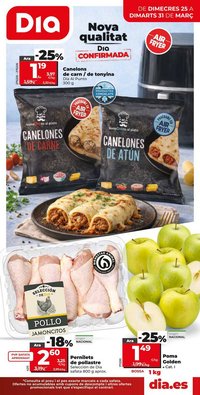 Folleto Dia