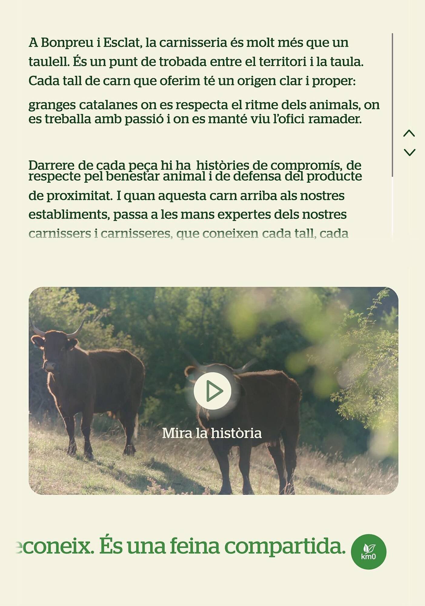 Folleto BonpreuEsclat