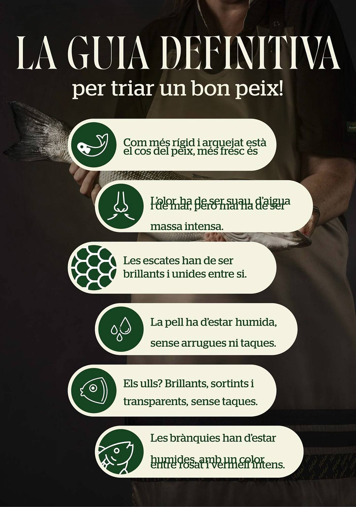 Folleto BonpreuEsclat