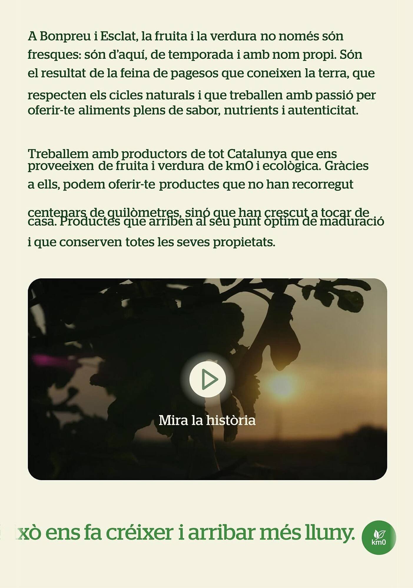 Folleto BonpreuEsclat