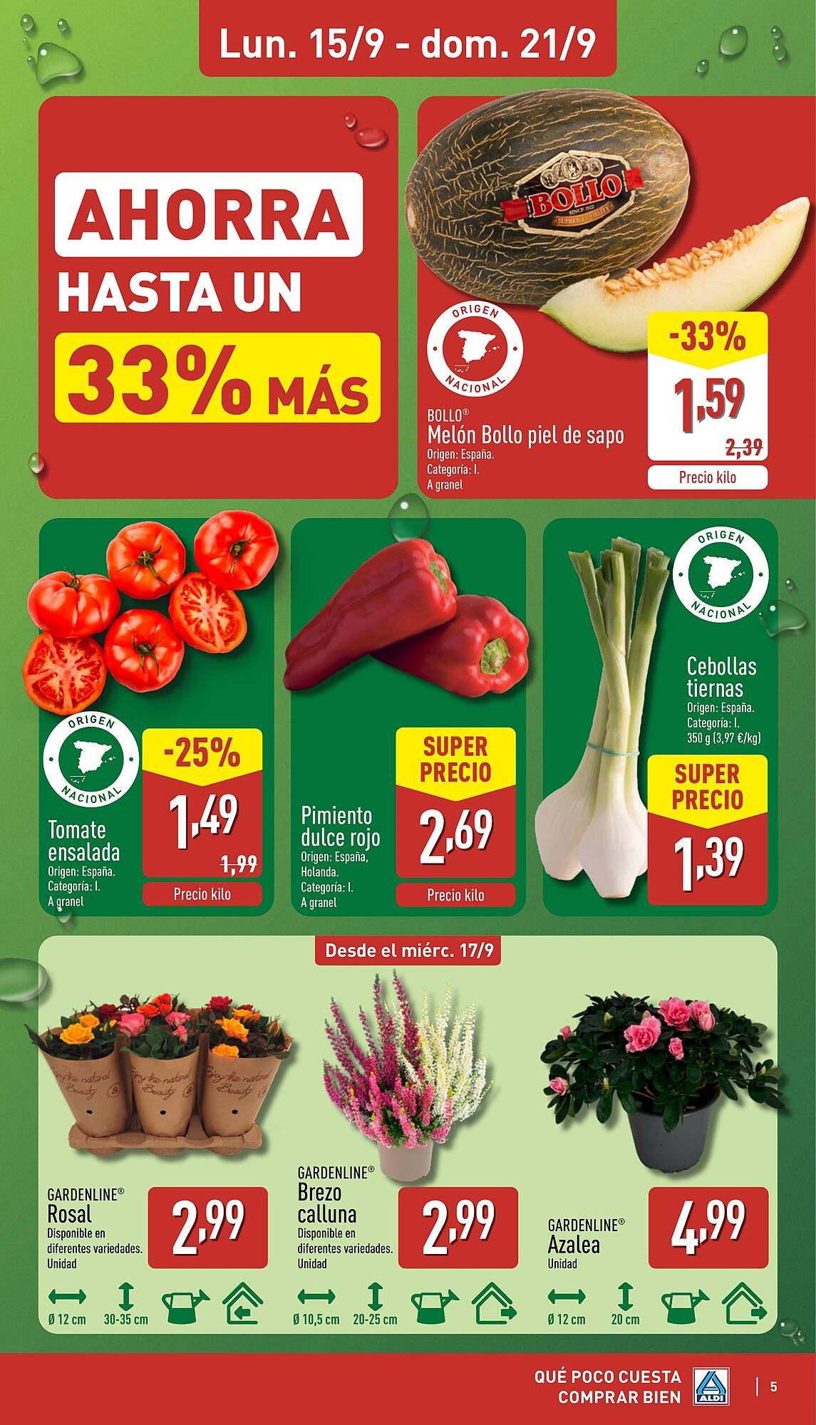 Folleto ALDI (2025-09-15 - 2025-09-21)