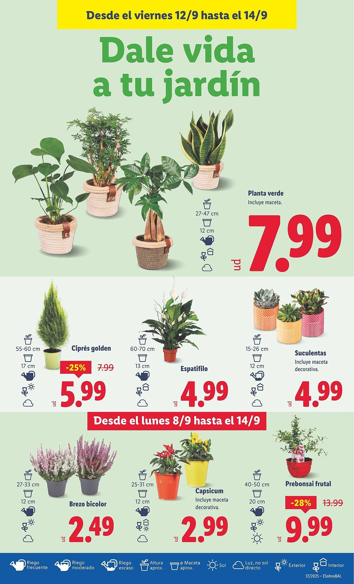 Folleto Lidl (2025-09-08 - 2025-09-14)