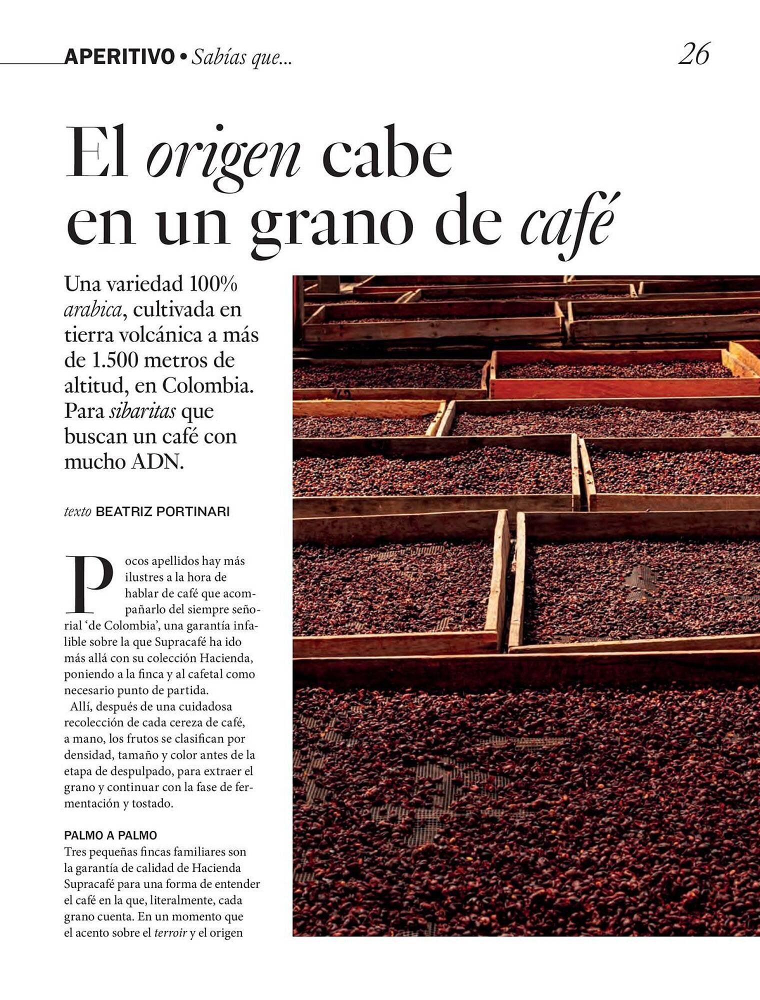 Catálogo El Corte Inglés