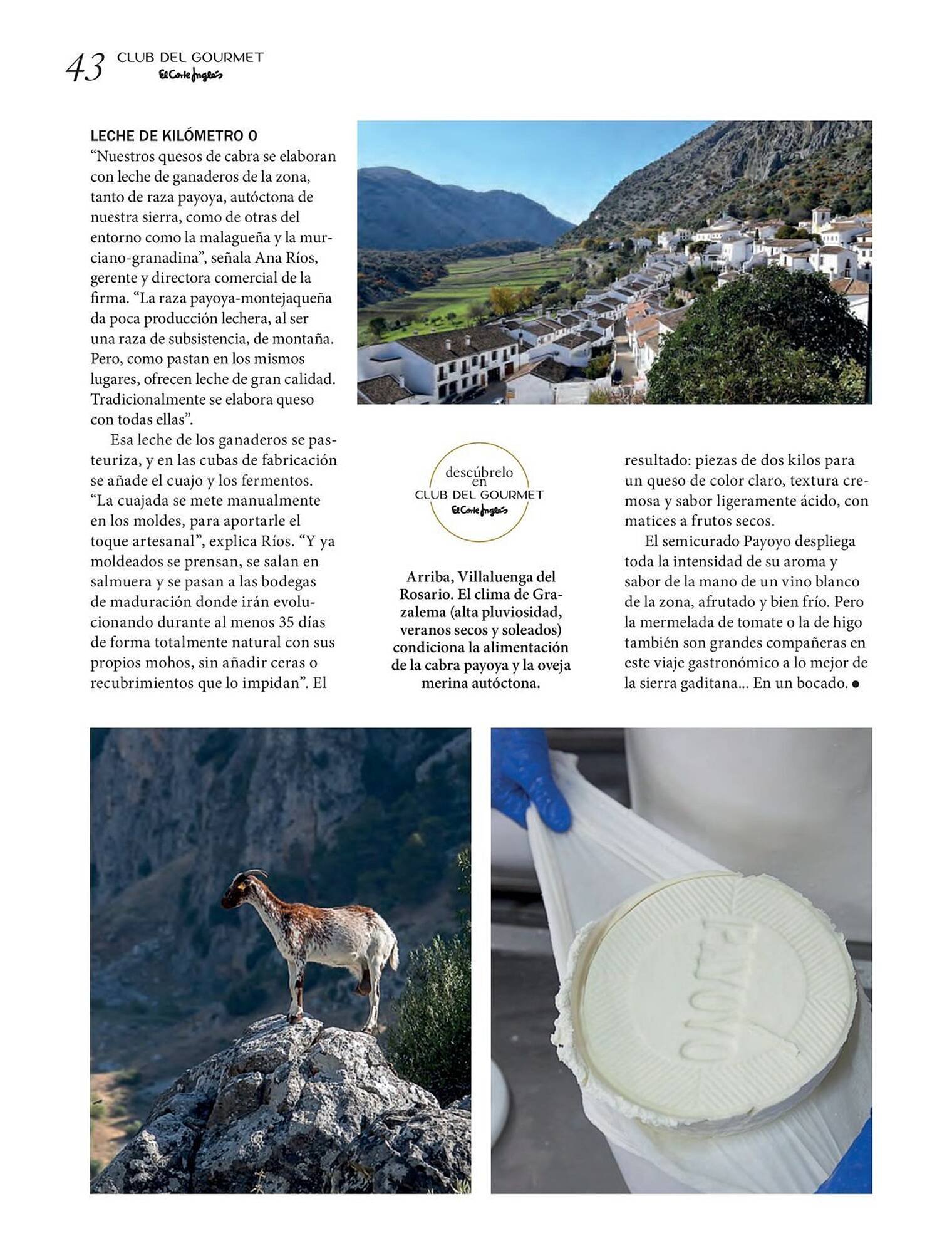 Catálogo El Corte Inglés