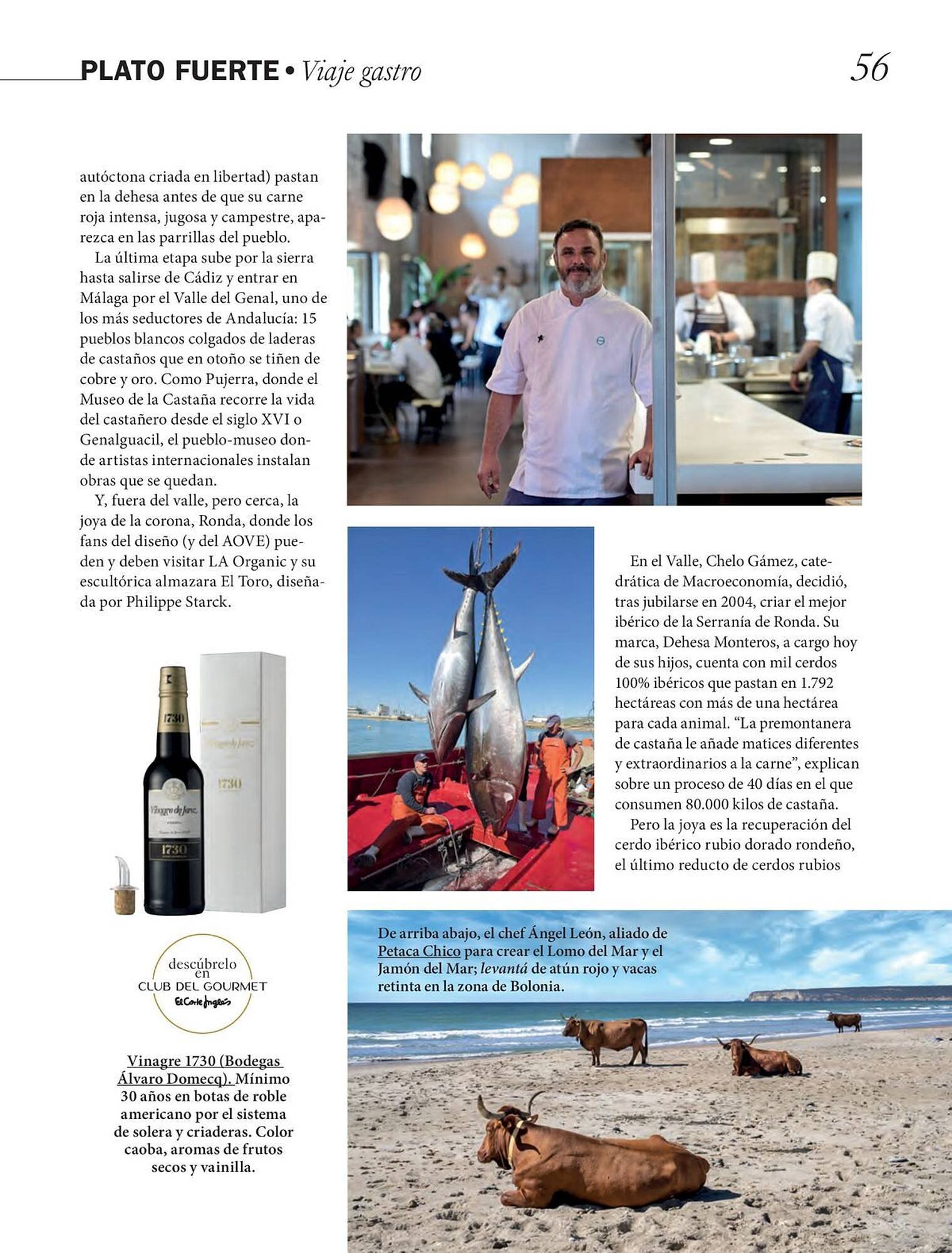 Catálogo El Corte Inglés