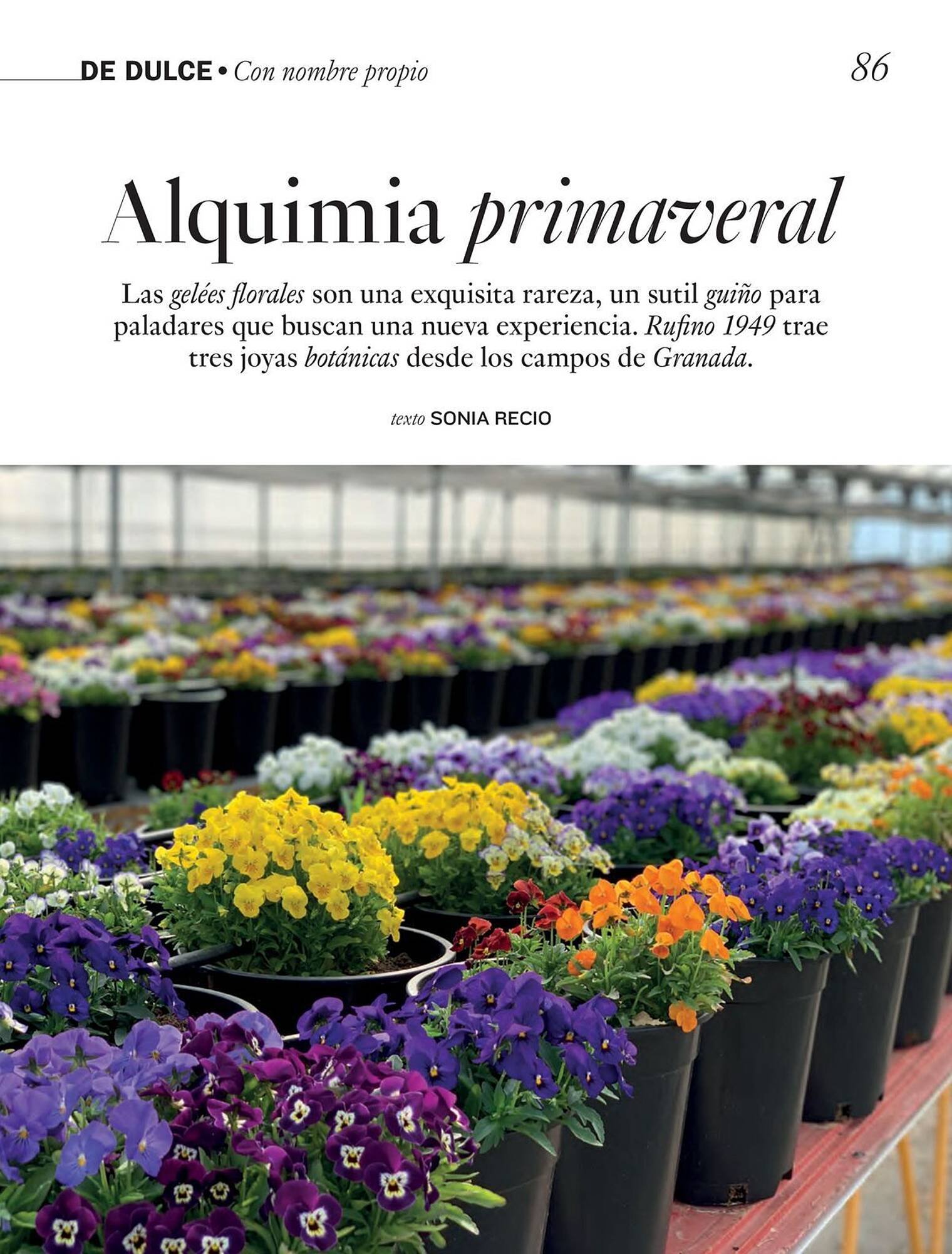 Catálogo El Corte Inglés