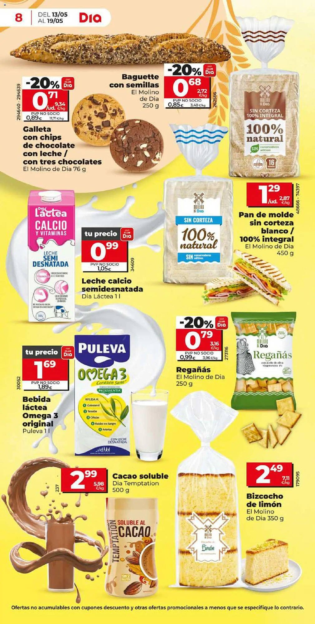 Folleto Dia