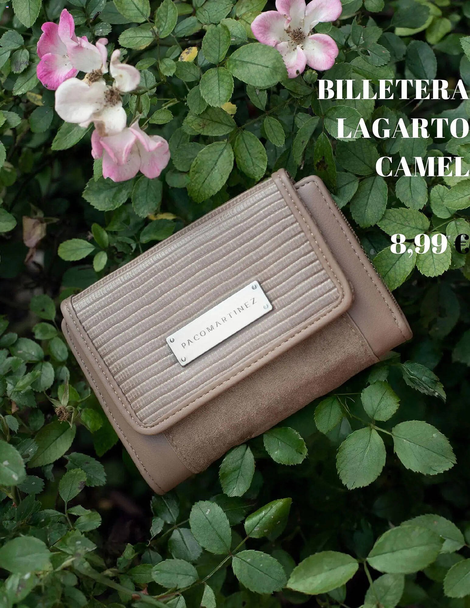 Catálogo Paco Martinez