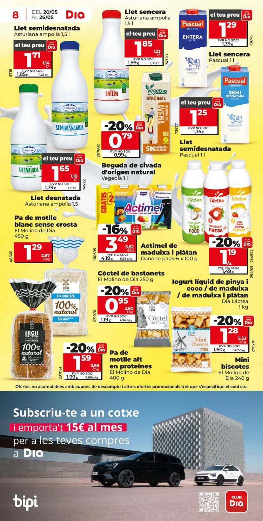 Folleto Dia