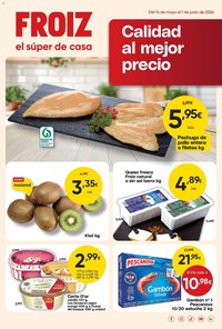 Folleto FROIZ