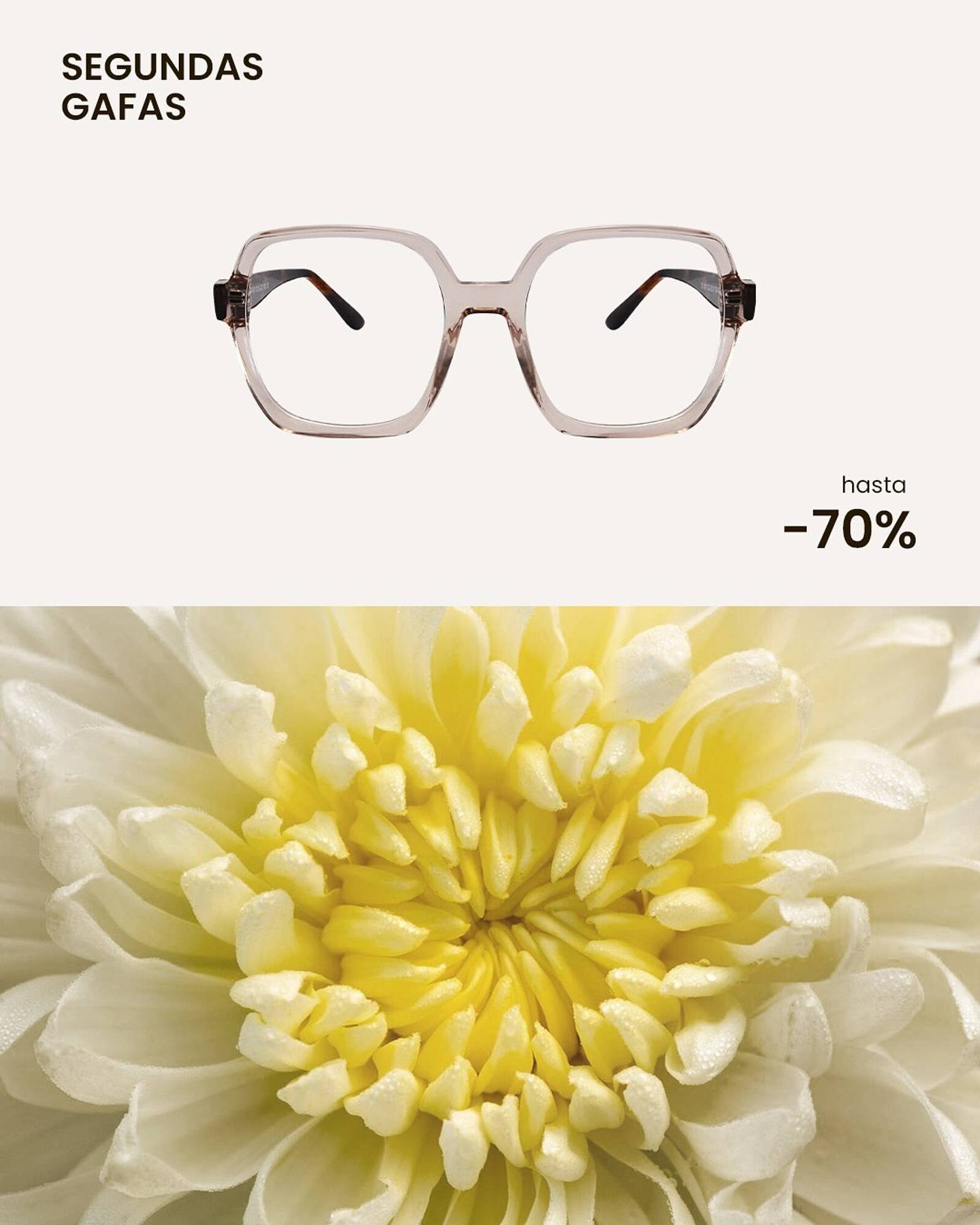 Catálogo Soloptical