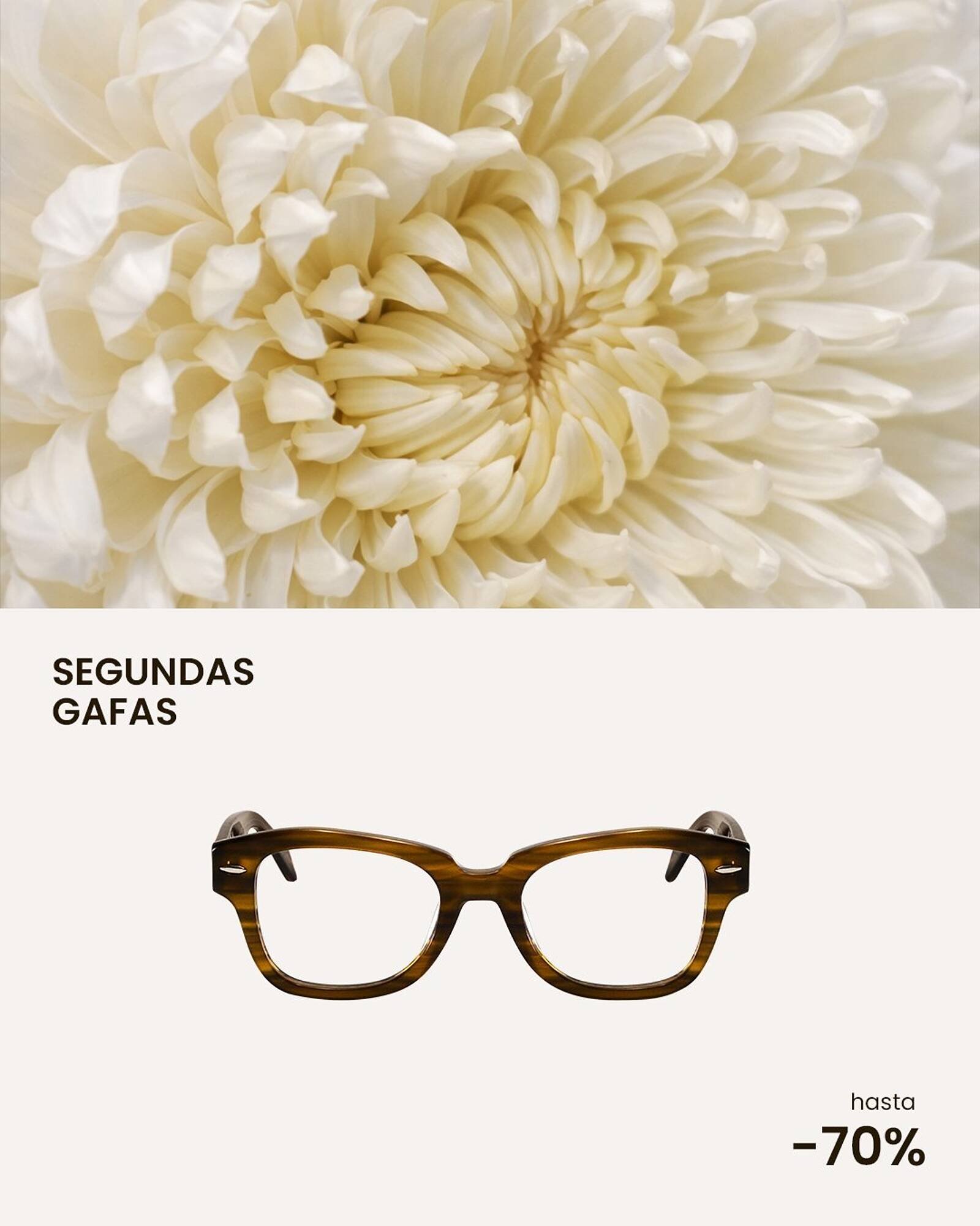 Catálogo Soloptical