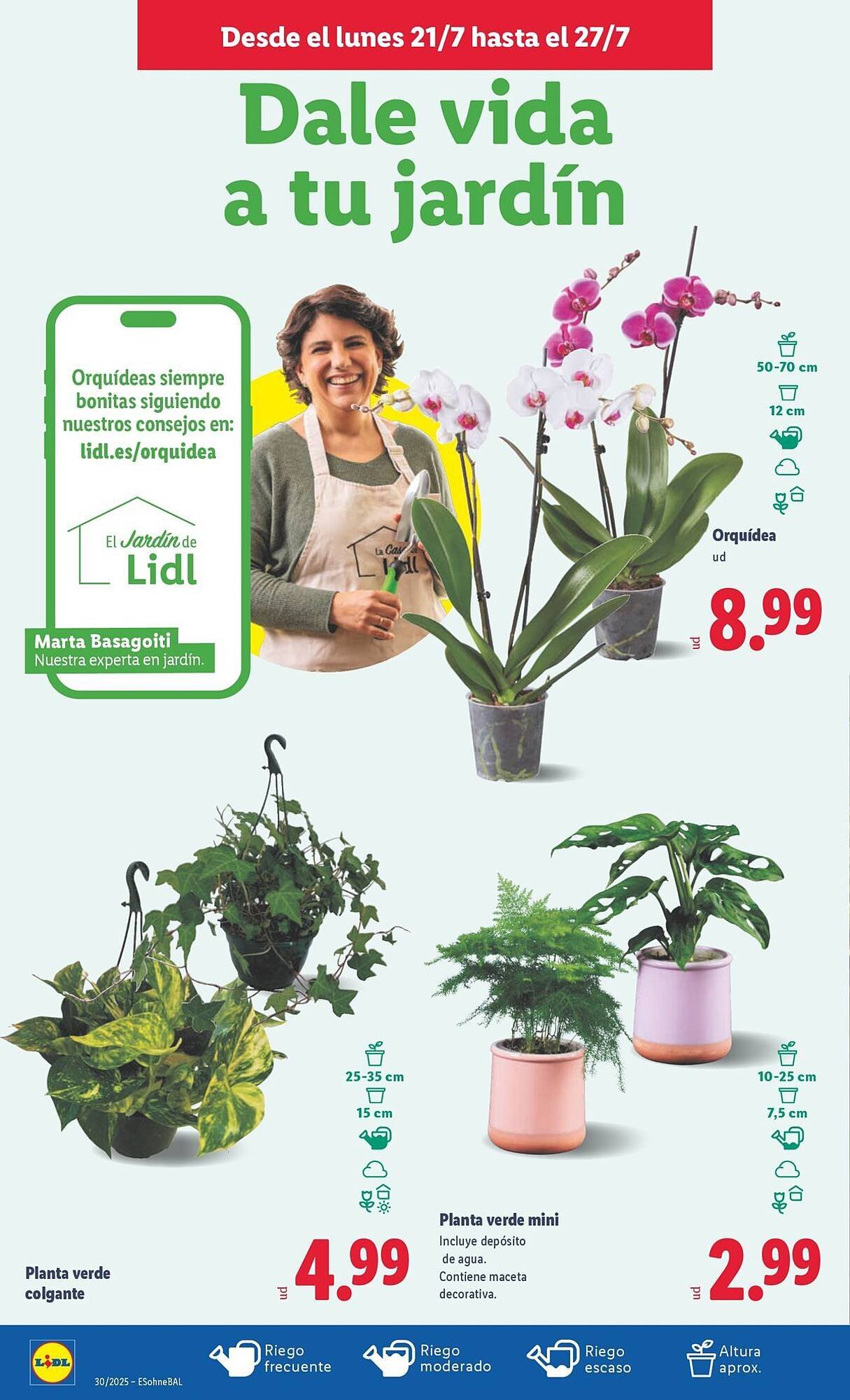 Folleto Lidl (2025-07-21 - 2025-07-27)