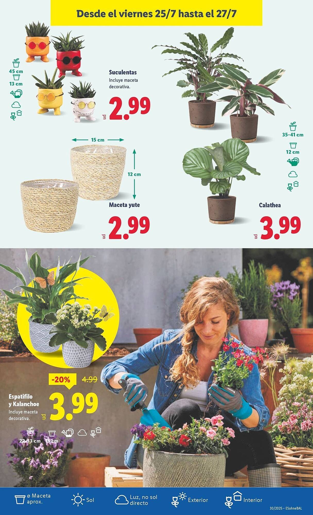 Folleto Lidl (2025-07-21 - 2025-07-27)