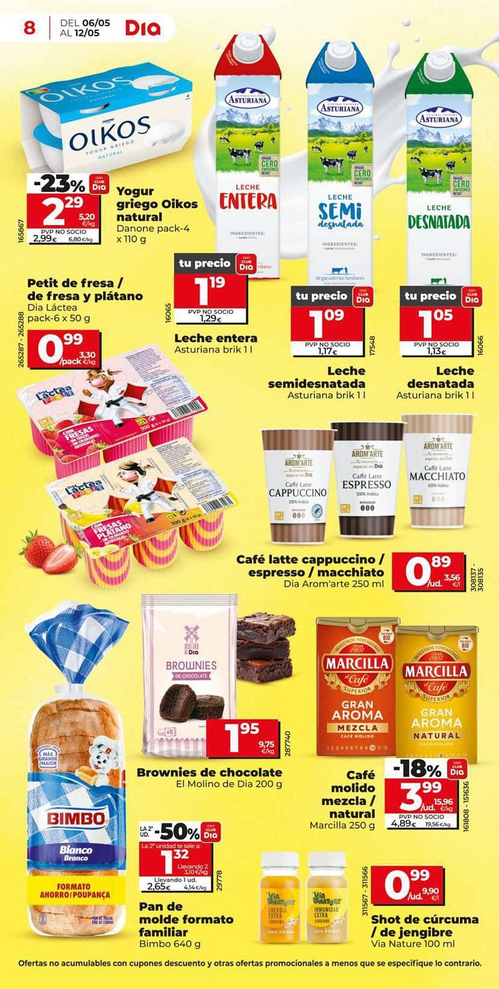 Folleto Dia