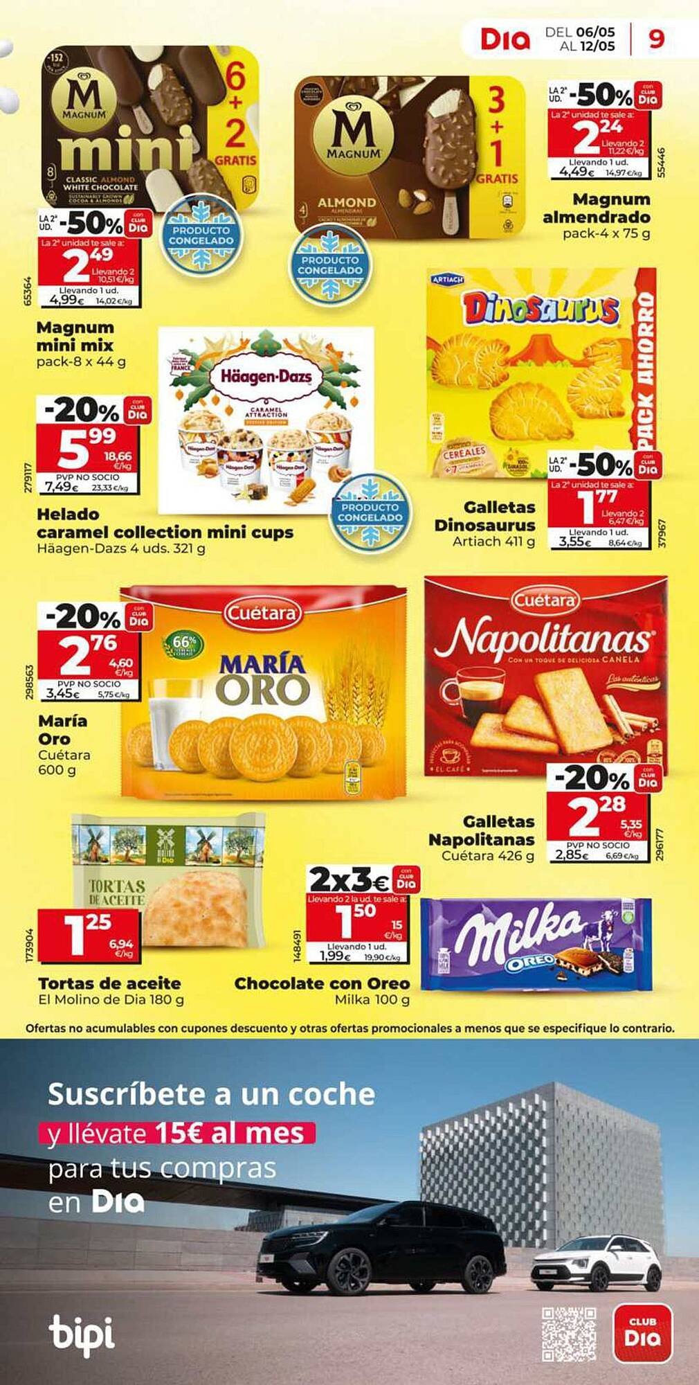 Folleto Dia