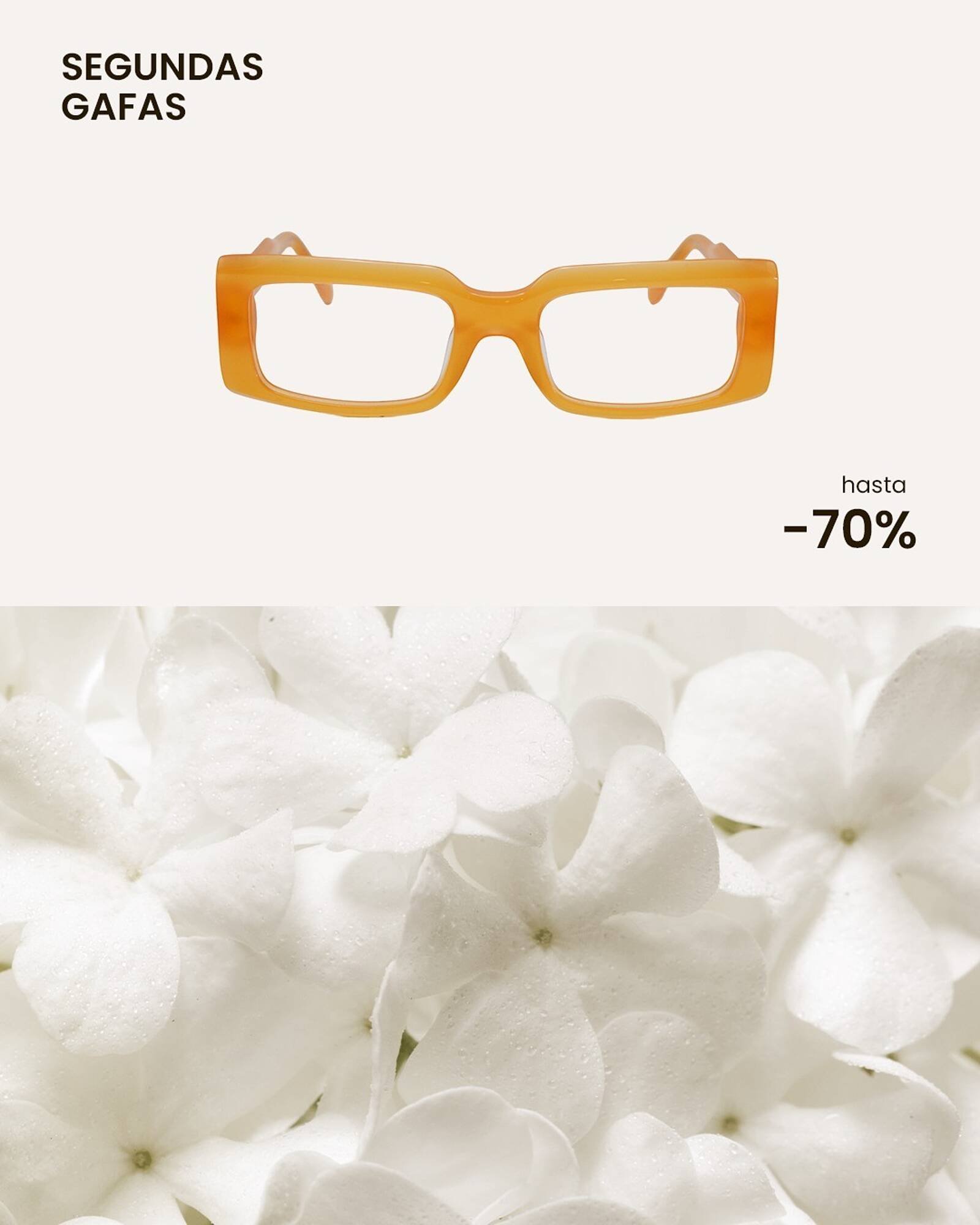 Catálogo Soloptical