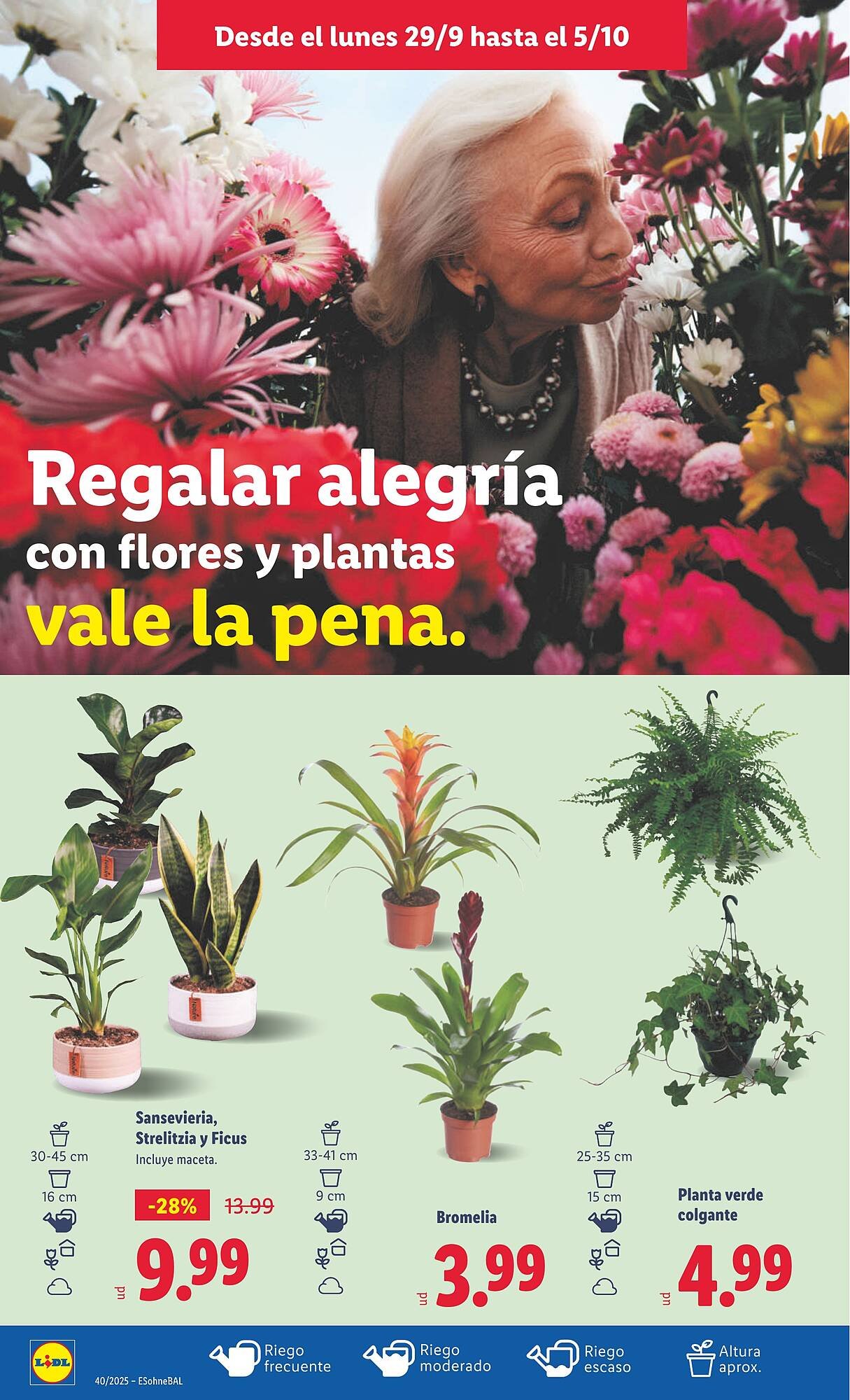 Catálogo Lidl (2025-09-29 - 2025-10-05)