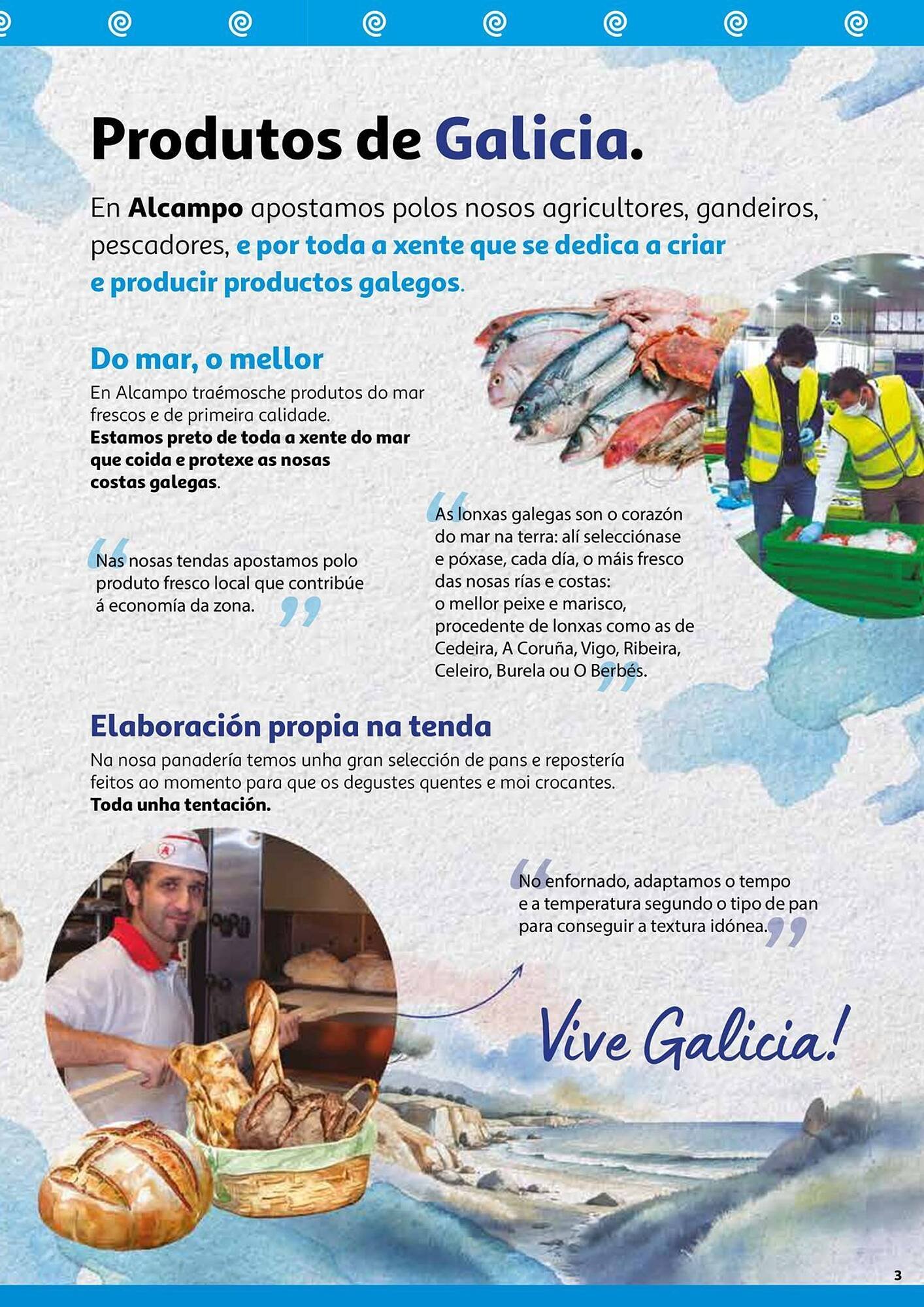 Folleto Alcampo (2025-07-29 - 2025-08-16)