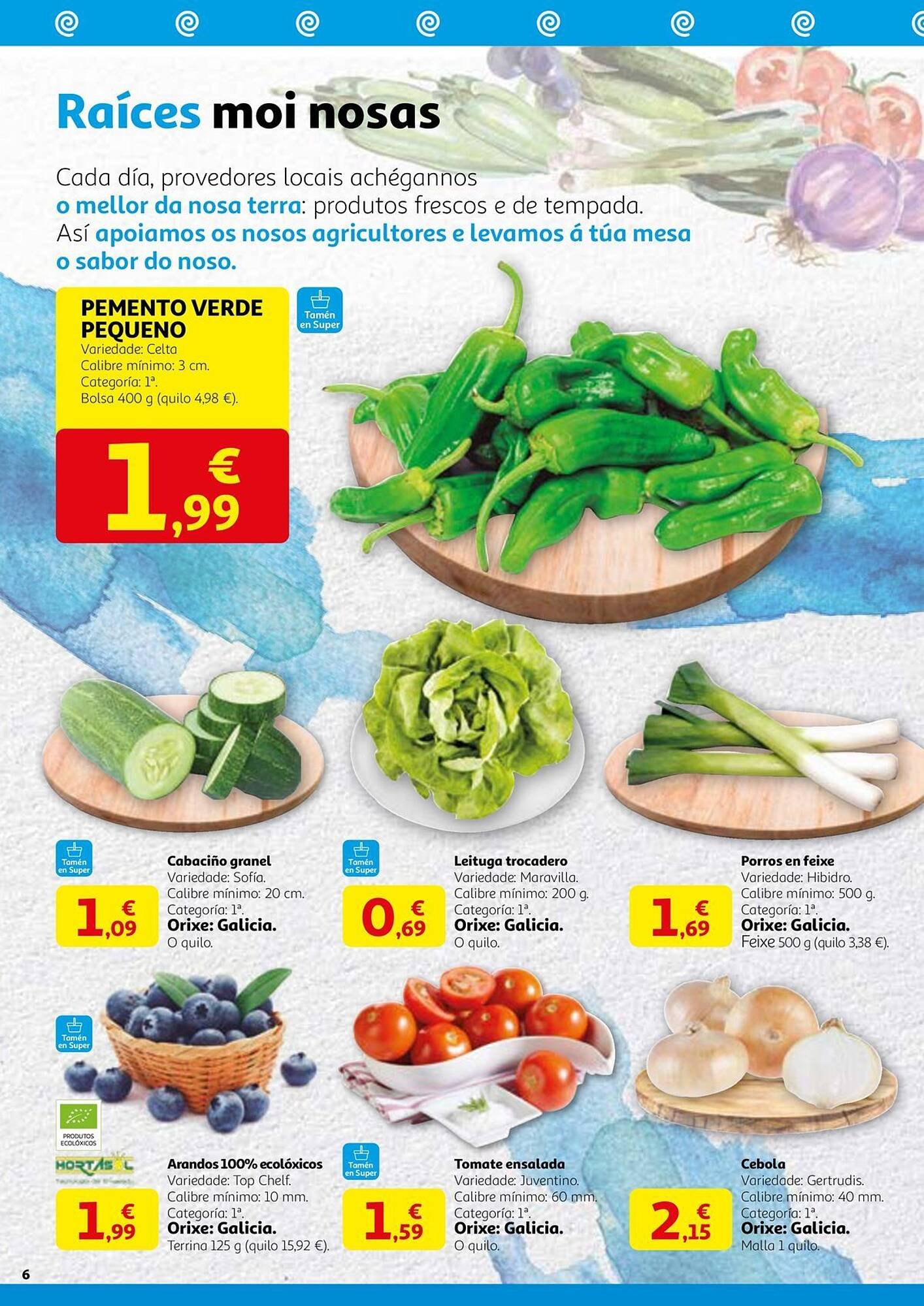 Folleto Alcampo (2025-07-29 - 2025-08-16)