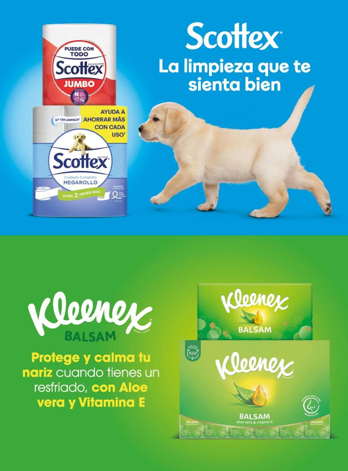 Catálogo Costco (2025-09-10 - 2025-09-30)