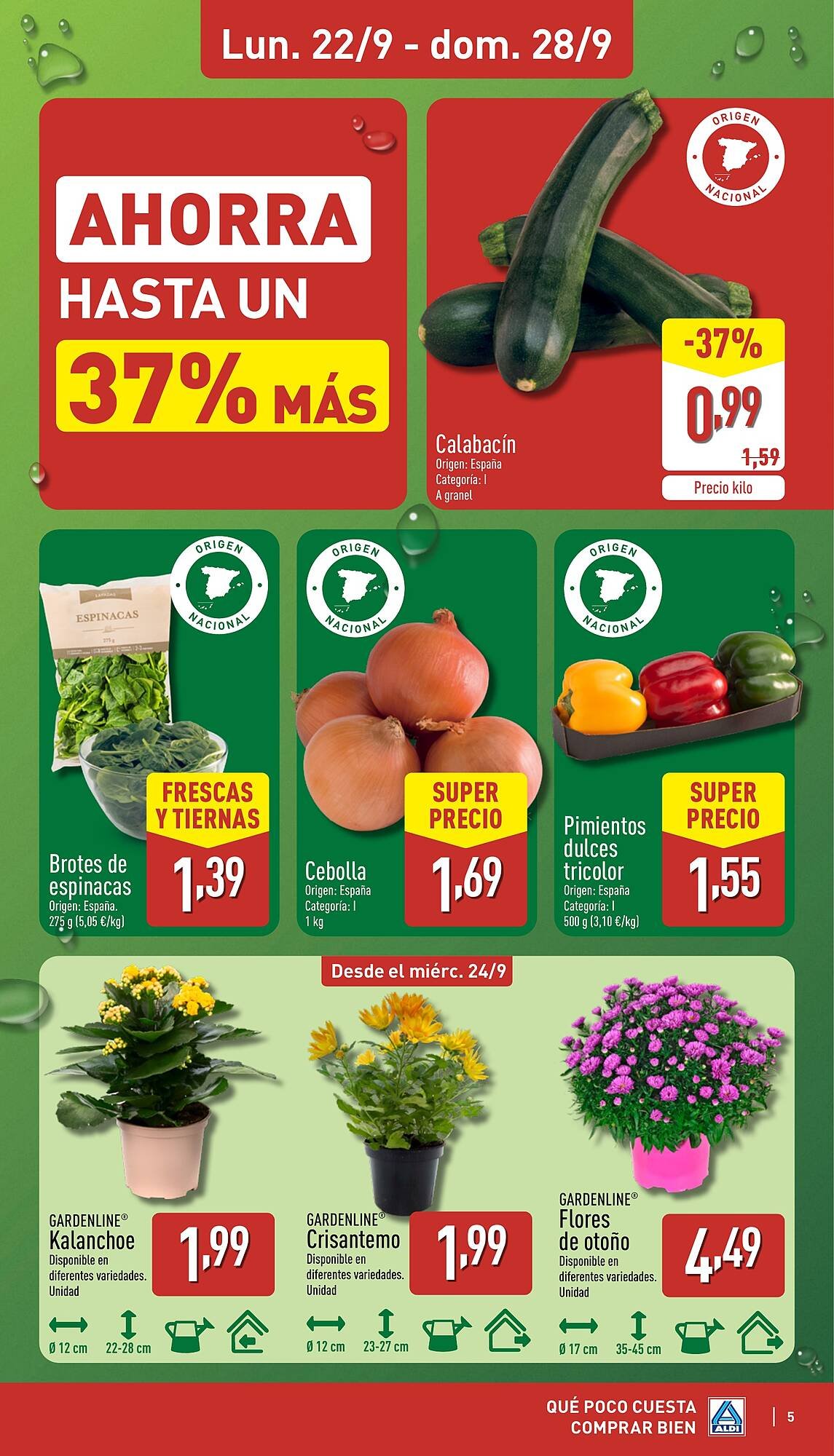 Folleto ALDI (2025-09-22 - 2025-09-28)