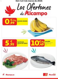 Folleto Alcampo