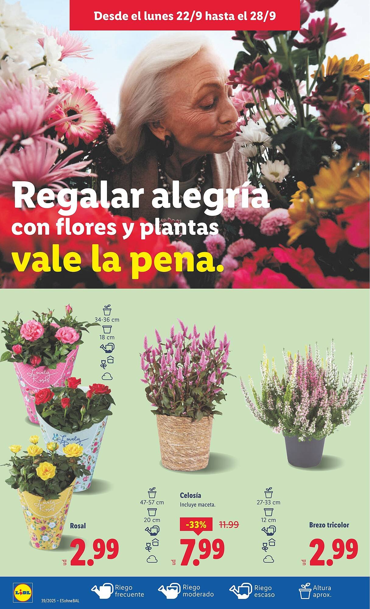 Catálogo Lidl (2025-09-22 - 2025-09-28)