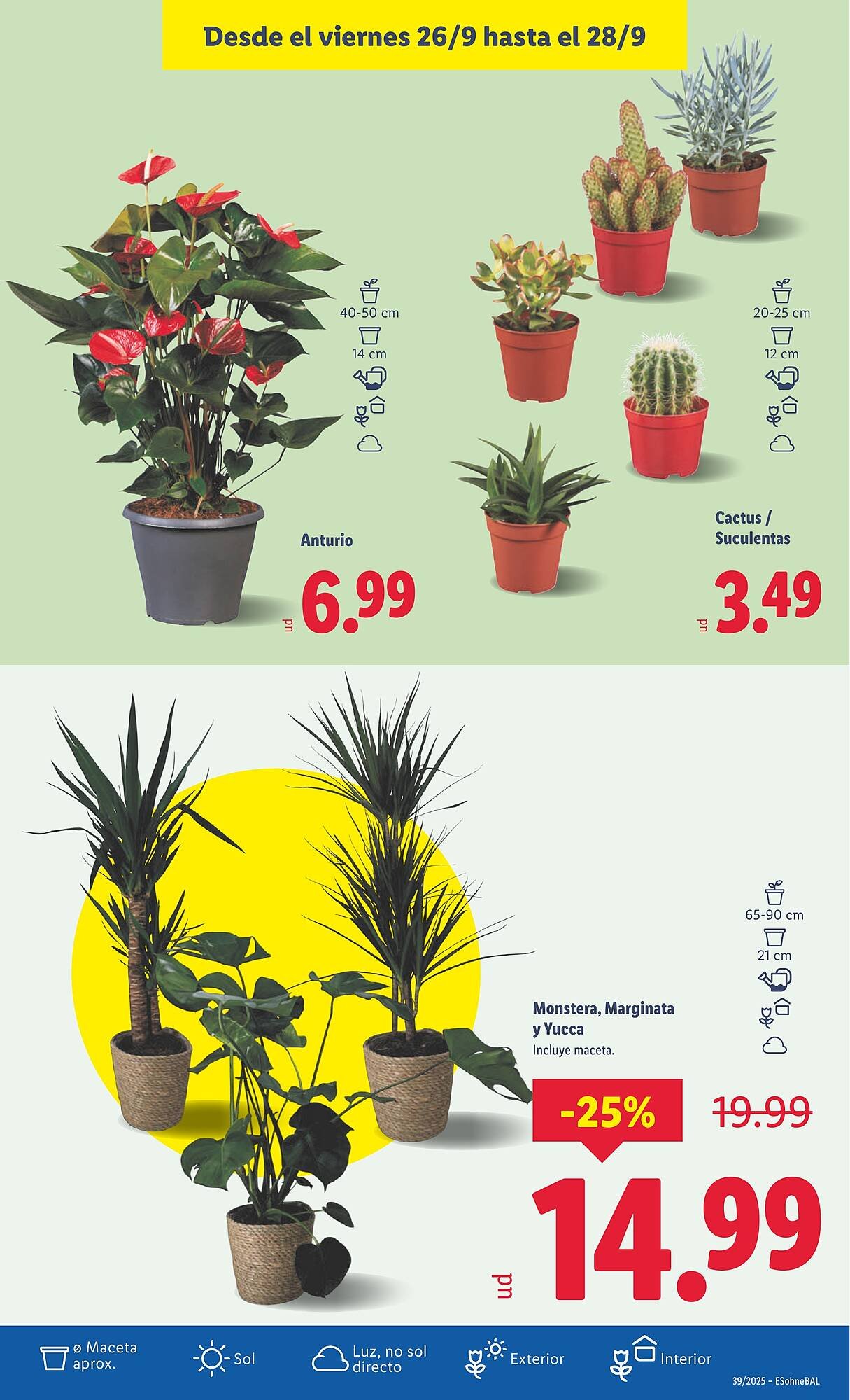 Catálogo Lidl (2025-09-22 - 2025-09-28)