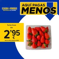 Folleto Cash Fresh