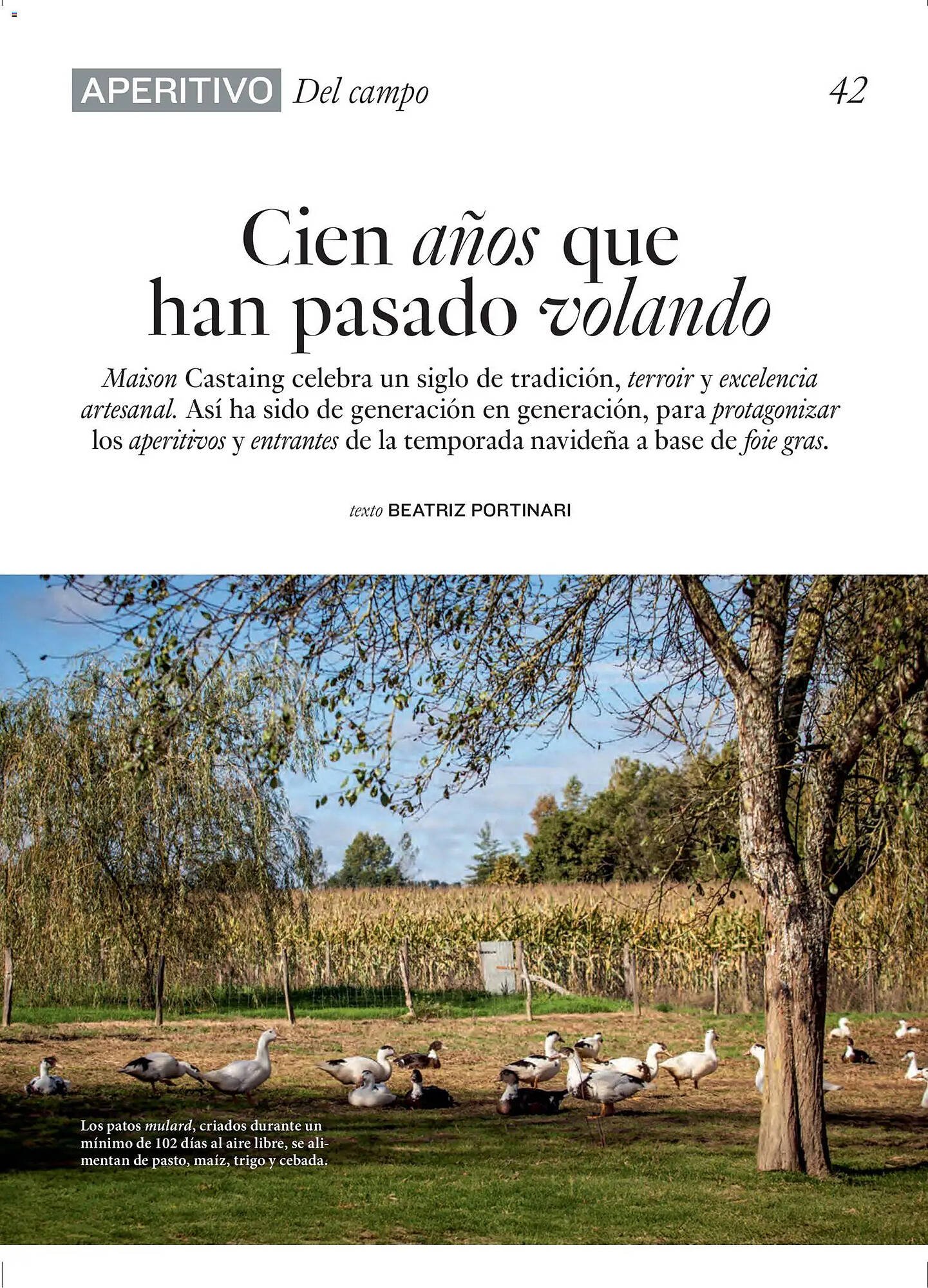 Catálogo El Corte Inglés