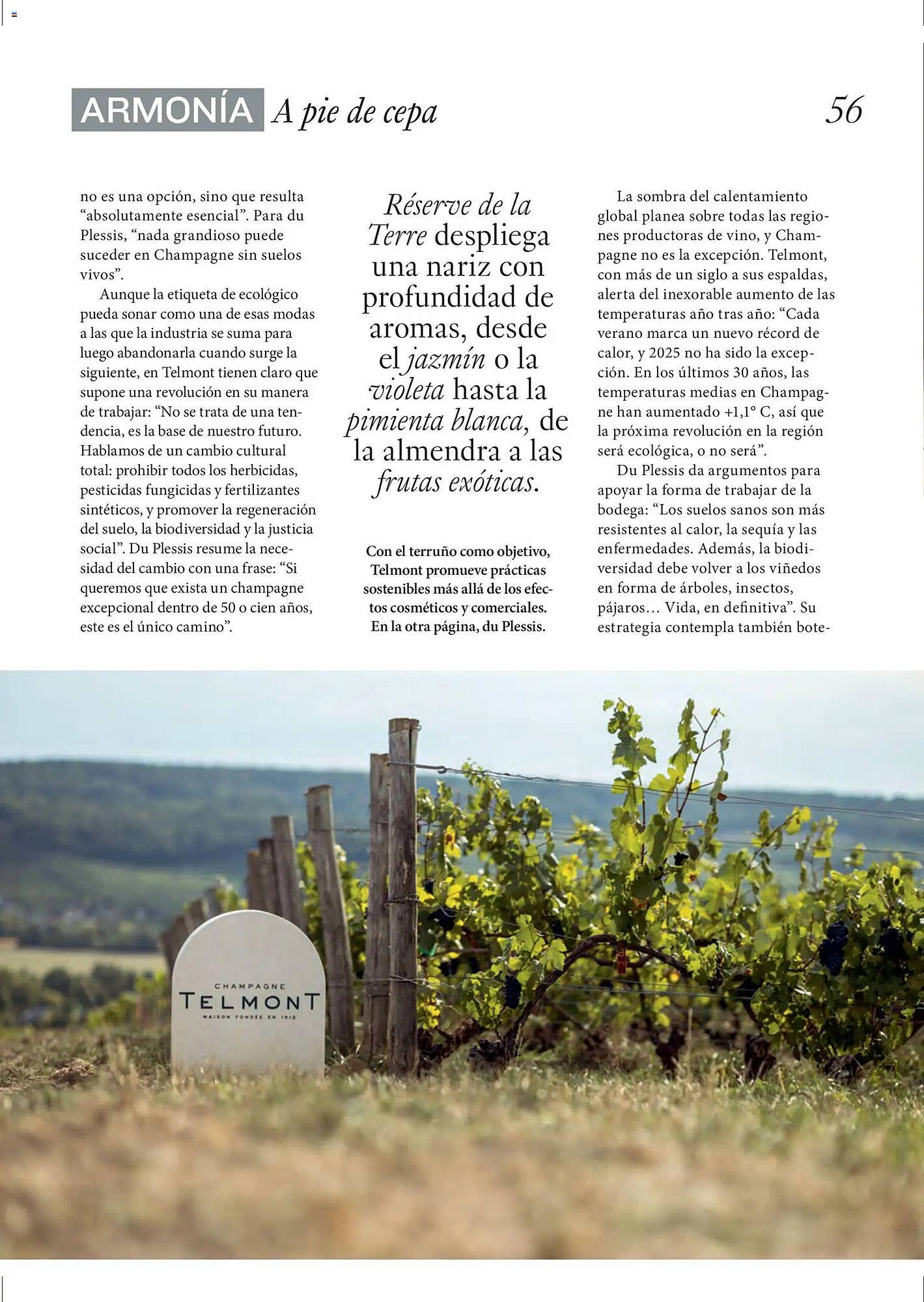 Catálogo El Corte Inglés