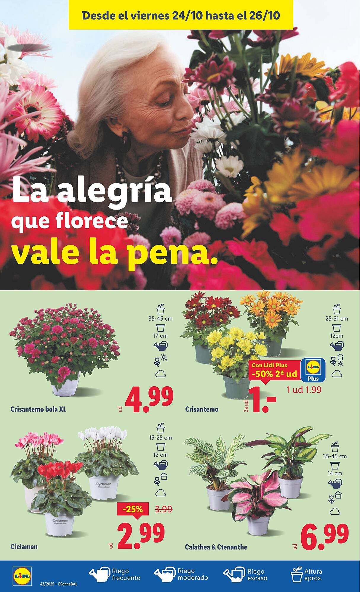 Catálogo Lidl (2025-10-20 - 2025-10-26)